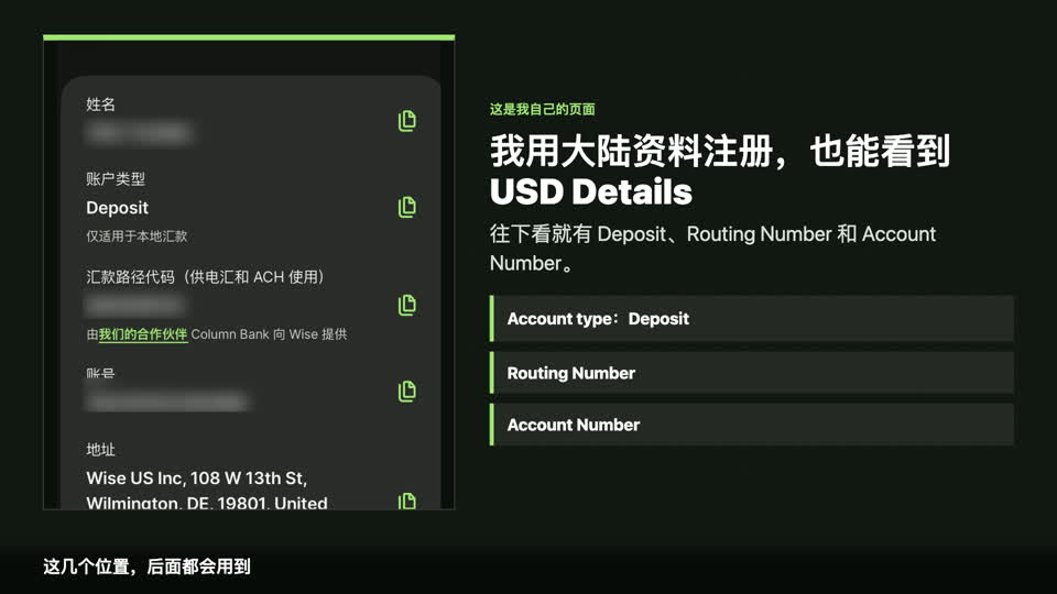 Wise USD Account Details 页面，姓名、Routing Number 和 Account Number 已脱敏